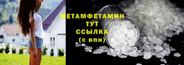 крисы Мегион