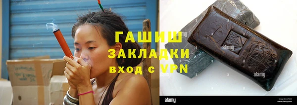 крисы Мегион