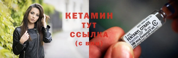 крисы Мегион