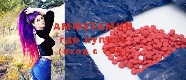 крисы Мегион