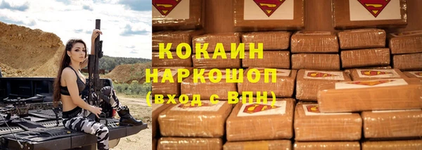крисы Мегион