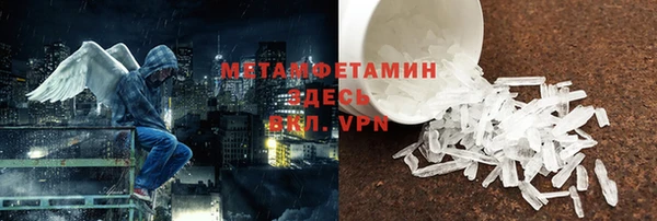 крисы Мегион
