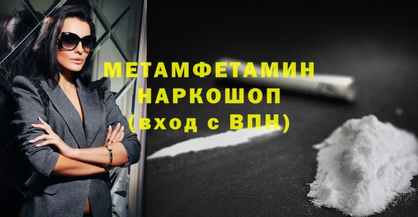 крисы Мегион