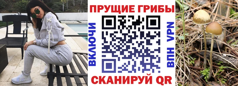 Псилоцибиновые грибы мухоморы  Купить где  Крым 